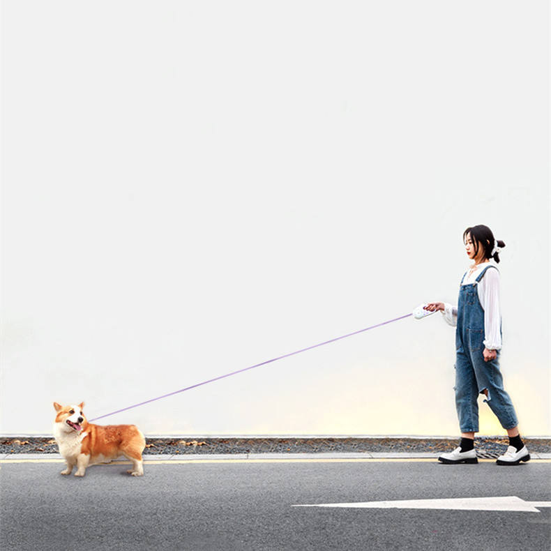 Glowing Dog Leash Pet Leash Automatic Retractable