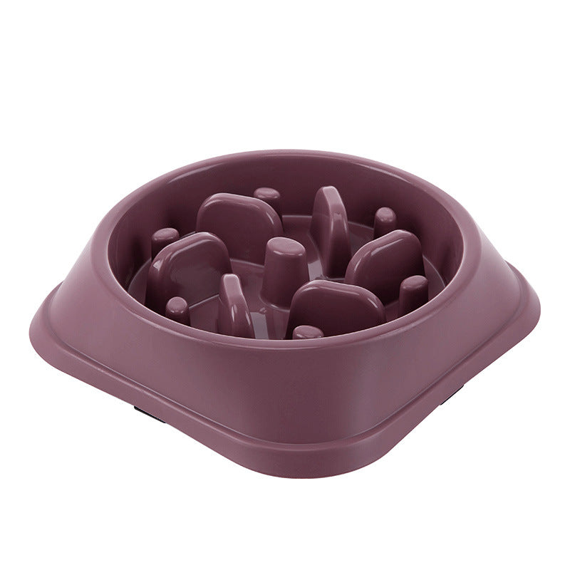Slow Food Bowl Anti Overturning Large Dog